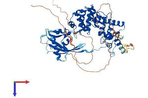 AlphaFold protein structure predicition of Human Recombinant MUTYH Protein, UniprotID Q9UIF7