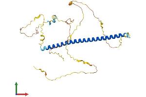 AlphaFold protein structure predicition of Human Recombinant FOSL2 Protein, UniprotID P15408