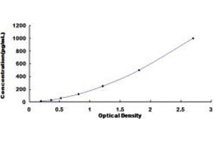 Typical standard curve (CXCL5 Kit ELISA)