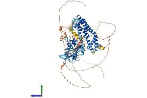 AlphaFold protein structure predicition of Human Recombinant RIN1 Protein, UniprotID Q13671
