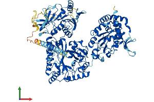 AlphaFold protein structure predicition of Human Recombinant NDST3 Protein, UniprotID O95803