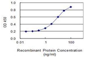Detection limit for recombinant GST tagged SLC22A2 is 0.