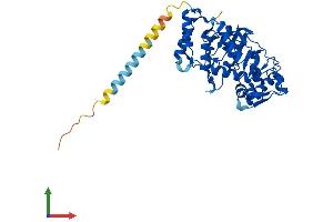 AlphaFold protein structure predicition of Human Recombinant ST8SIA5 Protein, UniprotID O15466