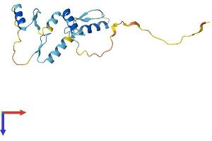 AlphaFold protein structure predicition of Human Recombinant ZNF576 Protein, UniprotID Q9H609