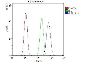 Flow Cytometry analysis of U20S cells using anti-EIF6 antibody (ABIN6719594).