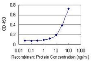 Detection limit for recombinant GST tagged TRIM47 is 1 ng/ml as a capture antibody.