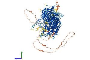 AlphaFold protein structure predicition of Human Recombinant RPTOR Protein, UniprotID Q8N122