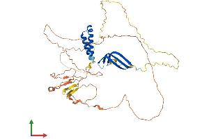 AlphaFold protein structure predicition of Human Recombinant GTF2A1L Protein, UniprotID Q9UNN4