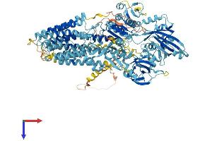 AlphaFold protein structure predicition of Mouse Recombinant Atp13a1 Protein, UniprotID Q9EPE9