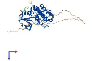 AlphaFold protein structure predicition of Mouse Recombinant Stk17b Protein, UniprotID Q8BG48