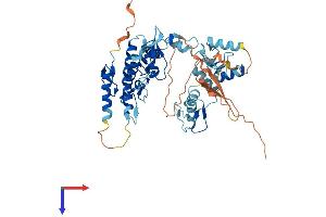 AlphaFold protein structure predicition of Mouse Recombinant Hinfp Protein, UniprotID Q8K1K9