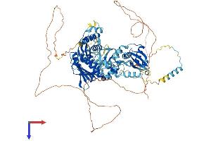 AlphaFold protein structure predicition of Human Recombinant PMS2 Protein, UniprotID P54278