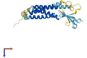 AlphaFold protein structure predicition of Human Recombinant CACNG6 Protein, UniprotID Q9BXT2