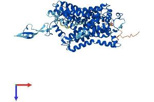 AlphaFold protein structure predicition of Mouse Recombinant Slc6a14 Protein, UniprotID Q9JMA9