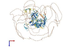 AlphaFold protein structure predicition of Human Recombinant NEDD4 Protein, UniprotID P46934