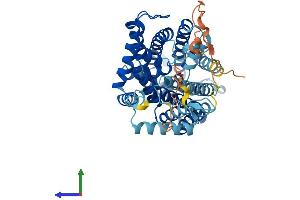 AlphaFold protein structure predicition of Human Recombinant SLC7A7 Protein, UniprotID Q9UM01