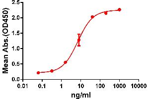 ELISA plate pre-coated by 2 μg/ml (100 μl/well) Human GPRC5D protein, hFc-His tagged protein (ABIN6961124) can bind Rabbit anti-GPRC5D monoclonal antibody (6964057) in a linear range of 1-100 ng/ml. (Recombinant GPRC5D anticorps  (AA 1-27))
