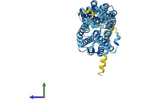 AlphaFold protein structure predicition of Mouse Recombinant Slc22a7 Protein, UniprotID Q91WU2