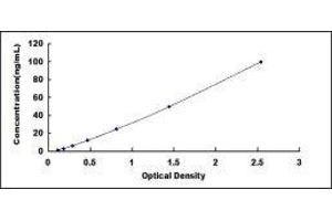 ELISA image for Cytochrome P450, Family 3, Subfamily A, Polypeptide 5 (CYP3A5) ELISA Kit (ABIN435963)