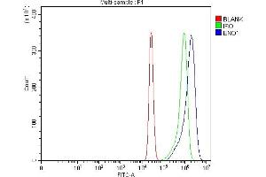 Flow Cytometry analysis of K562 cells using anti-ENO1 antibody (ABIN7601902). (ENO1 anticorps  (AA 50-250))