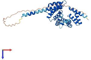 AlphaFold protein structure predicition of Human Recombinant RMDN1 Protein, UniprotID Q96DB5