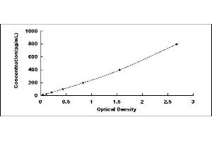 Typical standard curve (CALB1 Kit ELISA)