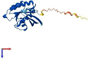 AlphaFold protein structure predicition of Human Recombinant RAB22A Protein, UniprotID Q9UL26