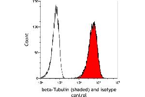 Flow Cytometry (FACS) image for anti-Tubulin, beta (TUBB) (AA 1-50) antibody (ABIN7453995) (Recombinant TUBB anticorps  (AA 1-50))