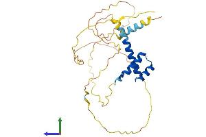 AlphaFold protein structure predicition of Human Recombinant PHOX2A Protein, UniprotID O14813