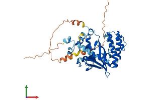AlphaFold protein structure predicition of Human Recombinant EXO5 Protein, UniprotID Q9H790