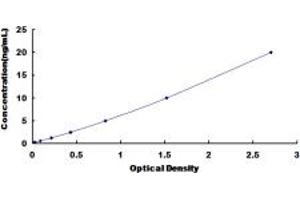 Typical standard curve (STH Kit ELISA)