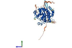 AlphaFold protein structure predicition of Human Recombinant DNAAF3 Protein, UniprotID Q8N9W5