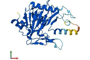 AlphaFold protein structure predicition of Mouse Recombinant Phyhd1 Protein, UniprotID Q9DB26