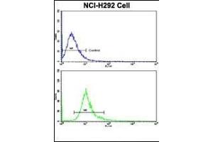 Flow cytometric analysis of NCI- cells using DCXR Antibody (Center)(bottom histogram) compared to a negative control cell (top histogram). (DCXR anticorps  (AA 79-106))