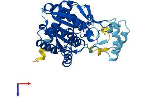AlphaFold protein structure predicition of Mouse Recombinant Hsd17b7 Protein, UniprotID O88736