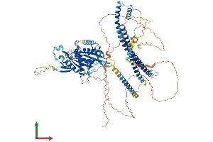 AlphaFold protein structure predicition of Mouse Recombinant Kif18a Protein, UniprotID Q91WD7