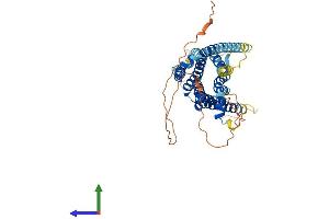 AlphaFold protein structure predicition of Mouse Recombinant Drd1 Protein, UniprotID Q61616