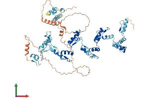 AlphaFold protein structure predicition of Human Recombinant ZNF567 Protein, UniprotID Q8N184