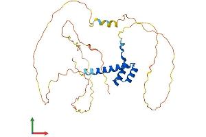 AlphaFold protein structure predicition of Mouse Recombinant Hoxc11 Protein, UniprotID P31313