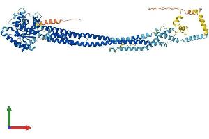 AlphaFold protein structure predicition of Human Recombinant MFN2 Protein, UniprotID O95140