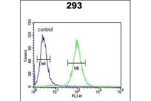 SPB3 Antibody (N-term) (ABIN390500 and ABIN2840856) flow cytometric analysis of 293 cells (right histogram) compared to a negative control cell (left histogram).