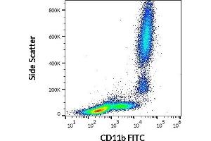 Flow cytometry surface staining pattern of human peripheral whole blood stained using anti-human CD11b (ICRF44) FITC antibody (4 μL reagent / 100 μL of peripheral whole blood). (CD11b anticorps  (FITC))