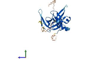 AlphaFold protein structure predicition of Human Recombinant SPIN2A Protein, UniprotID Q99865