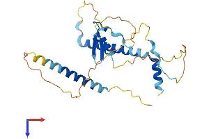 AlphaFold protein structure predicition of Human Recombinant LIN37 Protein, UniprotID Q96GY3