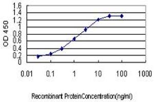 Detection limit for recombinant GST tagged PDK3 is approximately 0. (PDK3 anticorps  (AA 174-263))