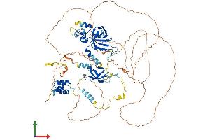 AlphaFold protein structure predicition of Mouse Recombinant Tdrd3 Protein, UniprotID Q91W18