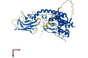 AlphaFold protein structure predicition of Human Recombinant B3GALNT2 Protein, UniprotID Q8NCR0