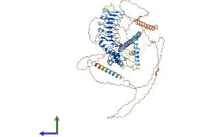 AlphaFold protein structure predicition of Mouse Recombinant Cep97 Protein, UniprotID Q9CZ62