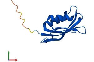 AlphaFold protein structure predicition of Mouse Recombinant Acyp2 Protein, UniprotID P56375