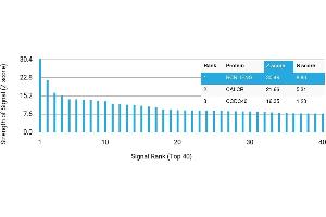 Protein Array (PAr) image for anti-Interferon gamma (IFNG) antibody (ABIN7456092)